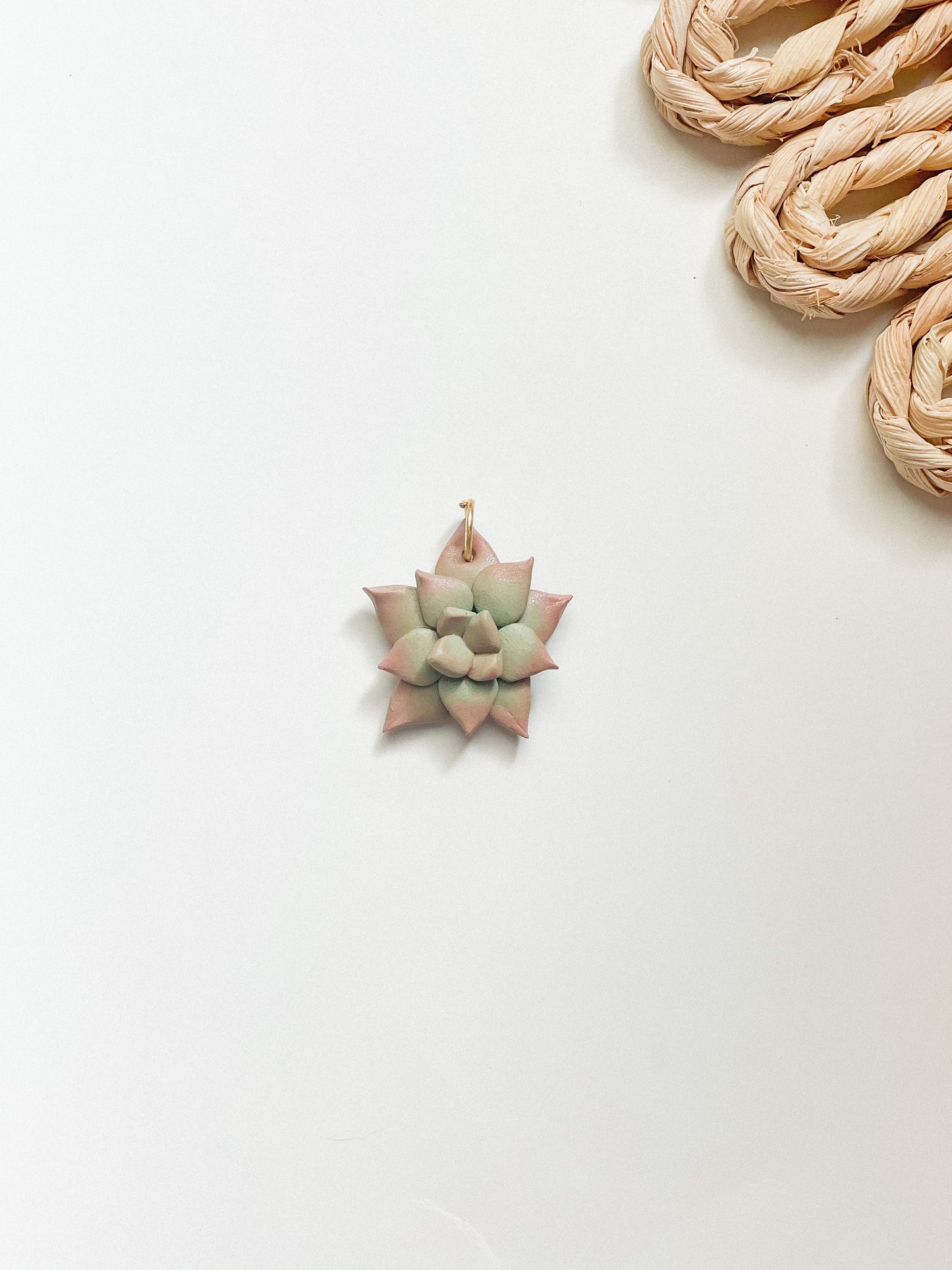 Succulent Plant Charms